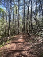 Fonta Flora State Trail- OPEN!