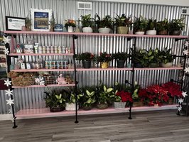 Garden Gate Floral & Events