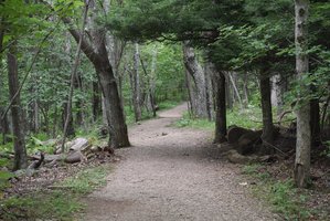 Hawksbill Mountain