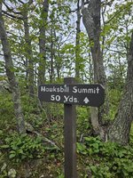 Hawksbill Mountain