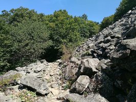 Hawksbill Mountain