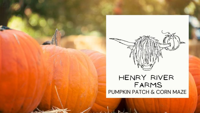 Henry River Farms Pumpkin Patch.jpg