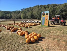 Henry River Farms