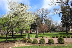 Hickory FC- National Premier Soccer League