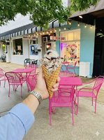 Ice Cream Sammies