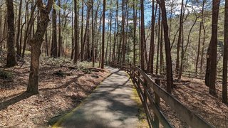 Lake James State Park- Partially Reopened