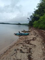 Lake James State Park Paddy's Creek Area