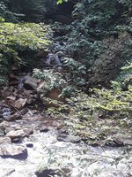 Linville Caverns