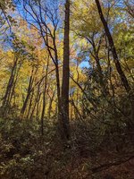 Linville Falls Campground on the Blue Ridge Parkway-Temporarily Closed