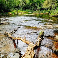 Linville Falls Overlook Trails- Partially Reopened