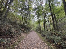 Linville Falls Overlook Trails- Partially Reopened