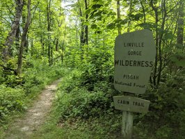 Linville Gorge Wilderness Area-Partially Open