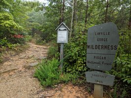 Linville Gorge Wilderness Area