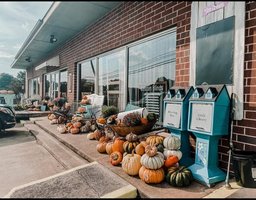 Mimosa Market & The Cool Beans Cafe