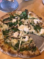 Moondog Pizza