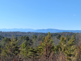 Oak Hill Community Park and Forest