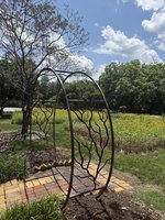 Oak Hill Iron + Wood