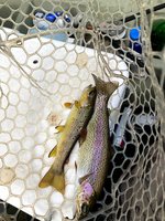On the Fly Guide Service
