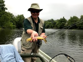 On the Fly Guide Service