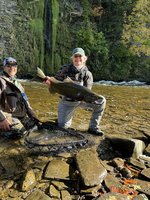 On the Fly Guide Service