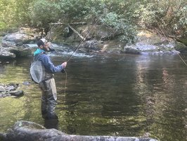 On the Fly Guide Service