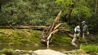 On the Fly Guide Service