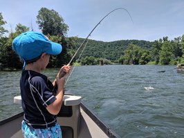 On the Fly Guide Service
