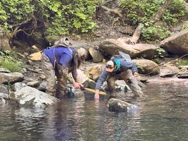 On the Fly Guide Service