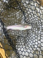 On the Fly Guide Service