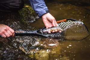 On the Fly Guide Service