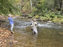 On the Fly Guide Service