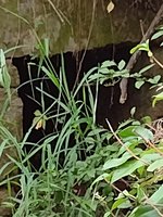 Overmountain Victory National Historic Trail