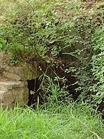 Overmountain Victory National Historic Trail