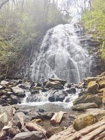 Pisgah National Forest