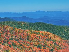 Pisgah National Forest