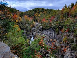 Pisgah National Forest
