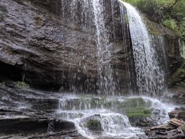 Pisgah National Forest