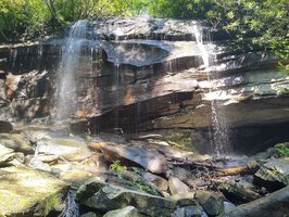 Pisgah National Forest