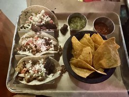 Reptile Cantina