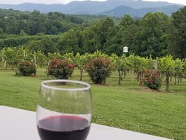 Silver Fork Vineyard & Winery