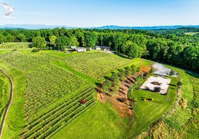 Silver Fork Vineyard & Winery
