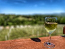 Silver Fork Vineyard & Winery