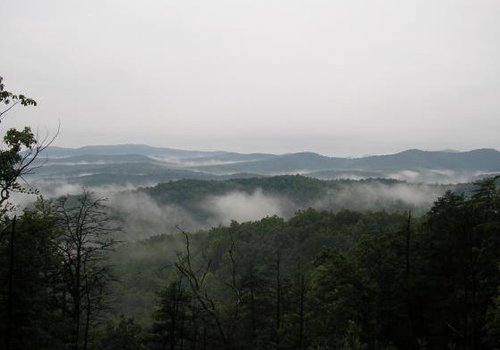 Chestnut Knob Trail Featured Image