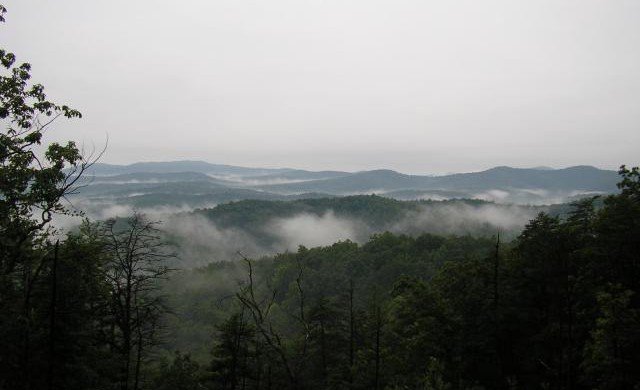 Chestnut Knob Trail Featured Image