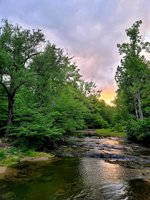 Steele Creek Campground