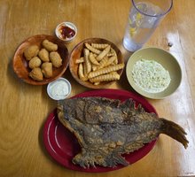 Tex's Fish Camp