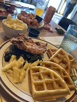 The Hedge | Counter & Cocktails