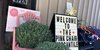 The Pink Chair Mercantile logo Morganton.png
