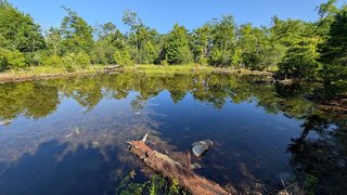 The Shack at Shortoff