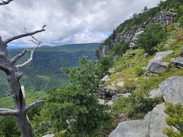 The Shack at Shortoff